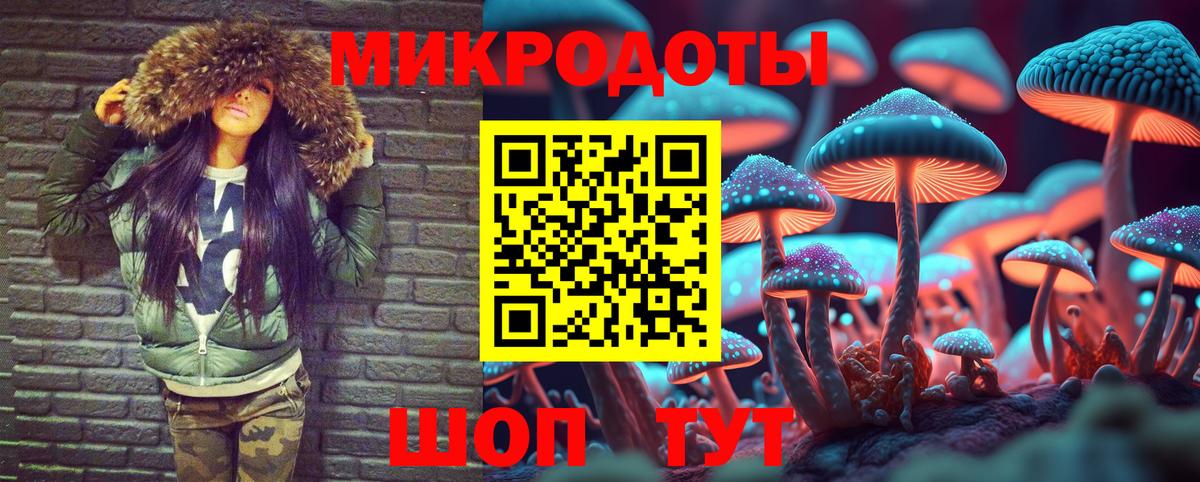 Псилоцибиновые грибы мухоморы Качканар