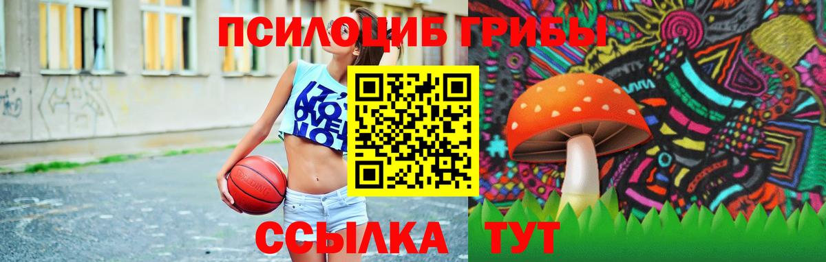 Качканар  Галлюциногенные грибы ЛСД  Вход с VPN 